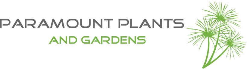 Paramount Plants Voucher Code