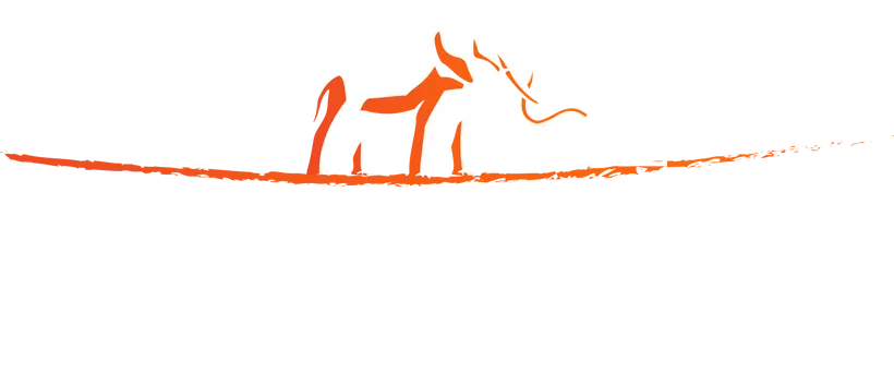  Elephantos.Com Voucher Code