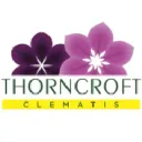  Thorncroft Clematis Voucher Code