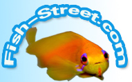  Fish Street Voucher Code